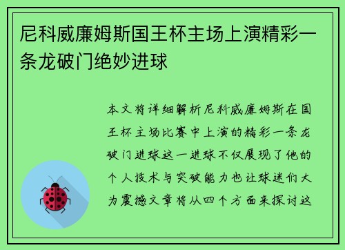 尼科威廉姆斯国王杯主场上演精彩一条龙破门绝妙进球